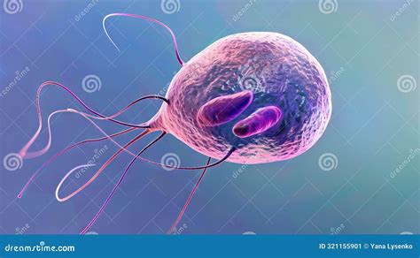  Giardia: Een microscopische eencellige verschijning met een ontembare eetlust voor voedingsstoffen!